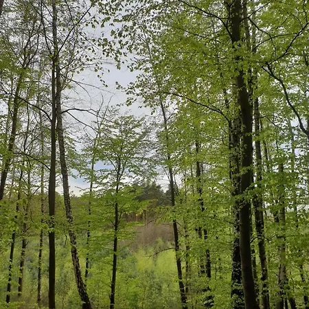 Mieszkanie Przy Parku Krajobrazowym