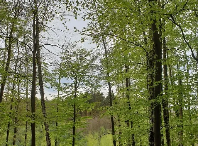 Mieszkanie Przy Parku Krajobrazowym