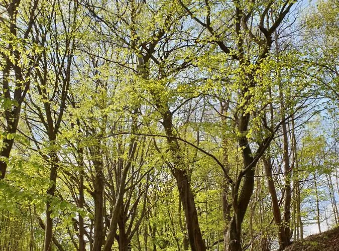 Mieszkanie Przy Parku Krajobrazowym *