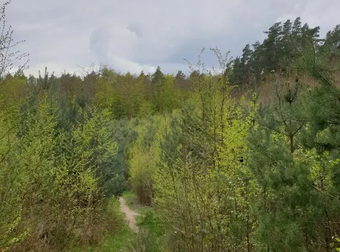 Mieszkanie Przy Parku Krajobrazowym Apartment *